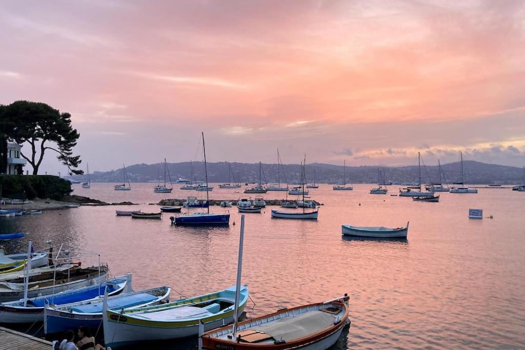 Studio Balcon, Centre Ville, Proximite Plages, Commerces, Restaurants, Musees... Antibes Buitenkant foto